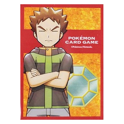 Pierre, Champion d'Argenta - Missing No.