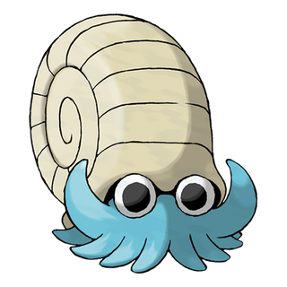 Amonita