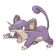 Rattata