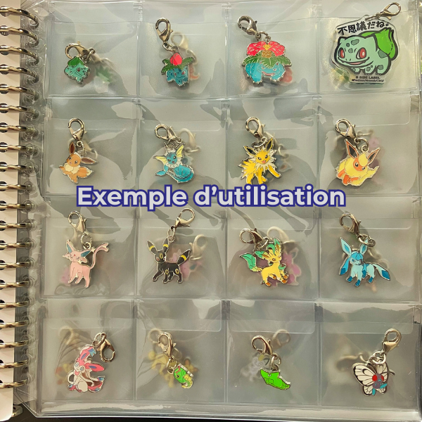 Poké Charm Goupix et Feunard d'Alola