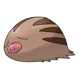 Marcacrin