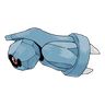 Terhal