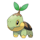 Tortipouss