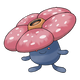 Rafflesia