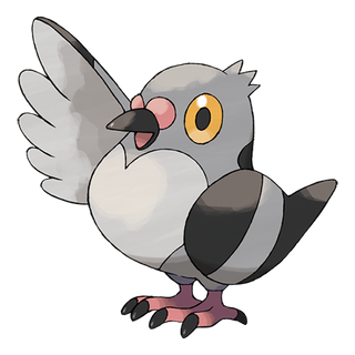 Poichigeon