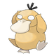 Psykokwak