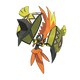 Tokorico