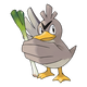 Canarticho