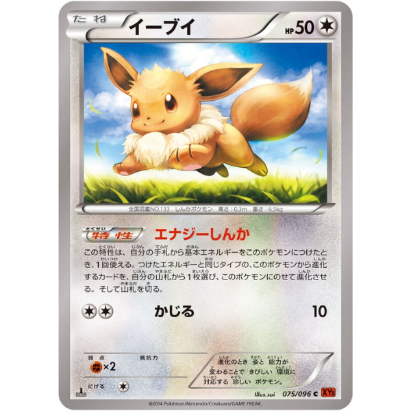 Evoli - XY3 Rising Fist