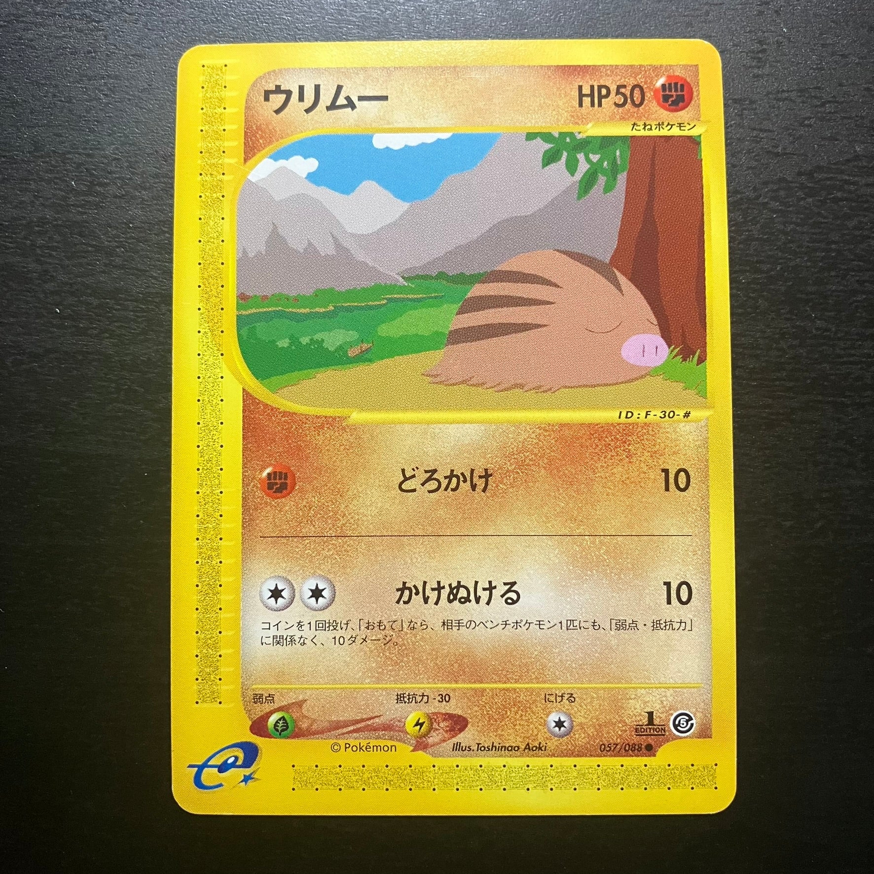 Marcacrin ed1 - Mysterious Mountains (e5)