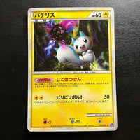 Pachirisu holographique - LL Lost Link