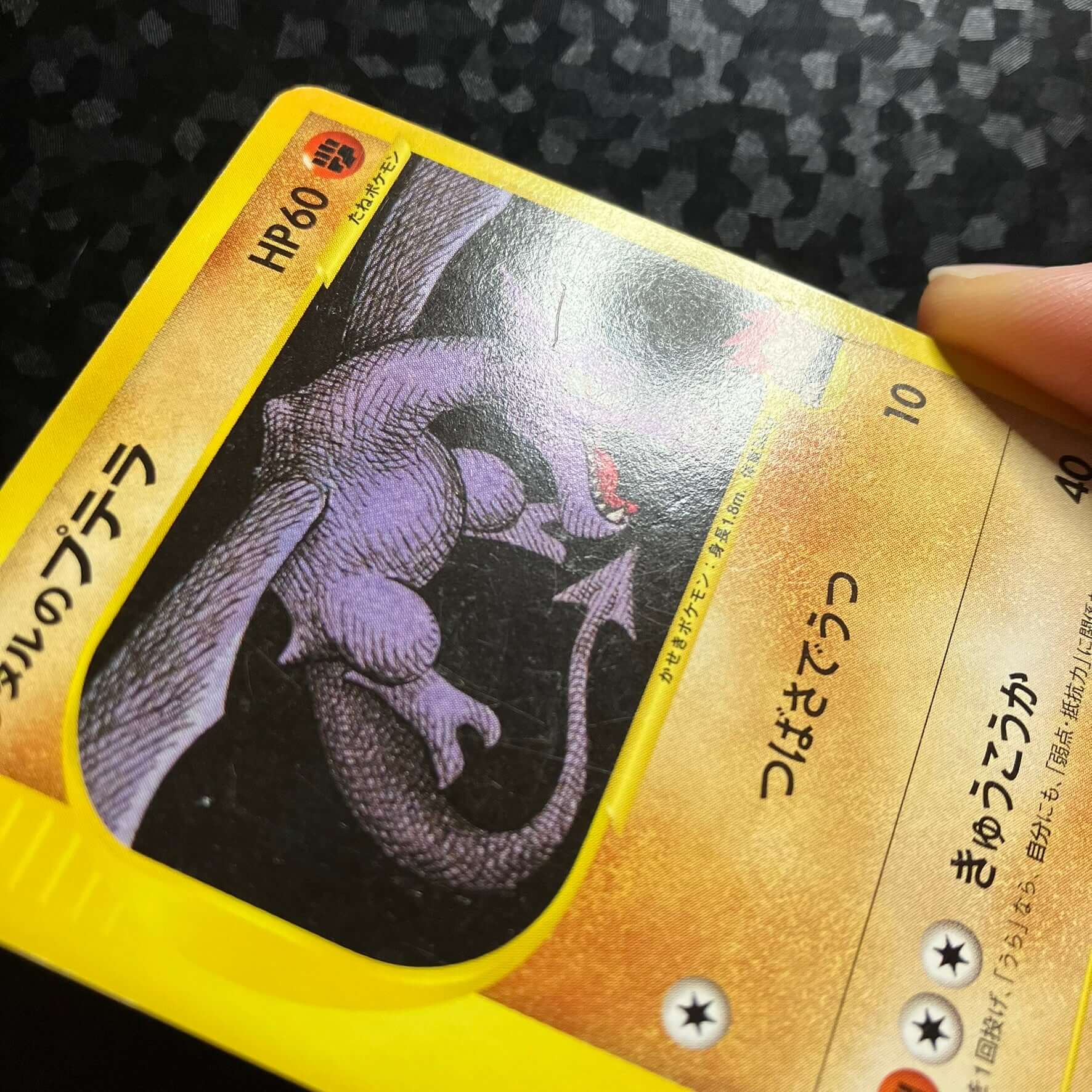 Ptéra de Peter - Pokémon VS
