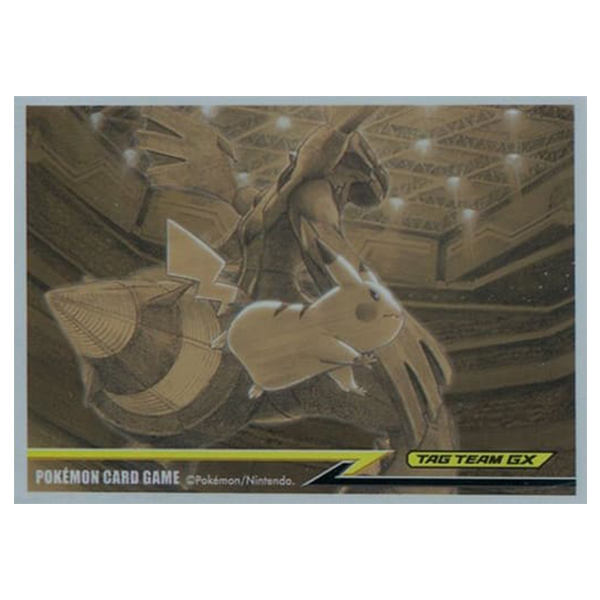 Pikachu & Zekrom