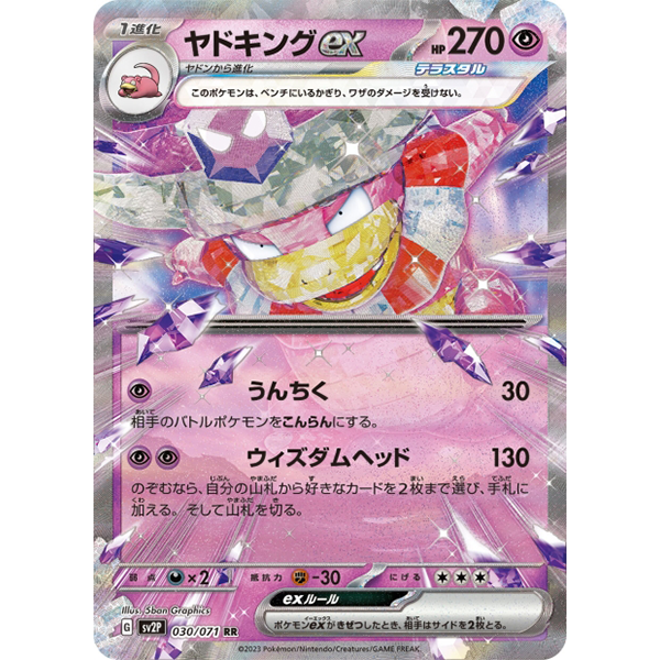 Roigada ex - sv2P Snow Hazard - Missing No.