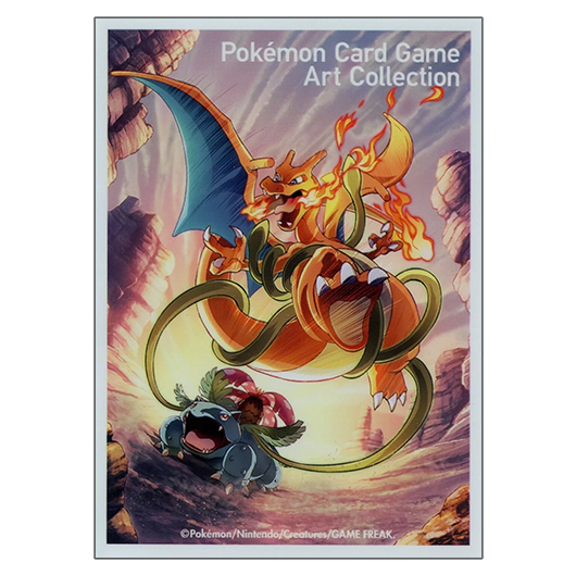 Florizarre VS Dracaufeu