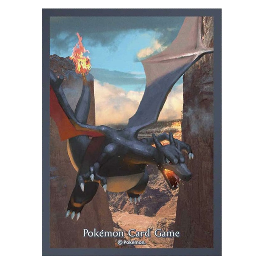 Dracaufeu Shiny - Missing No.
