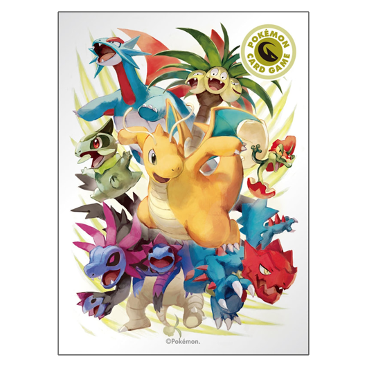 Dragon-type Fighters - Missing No.