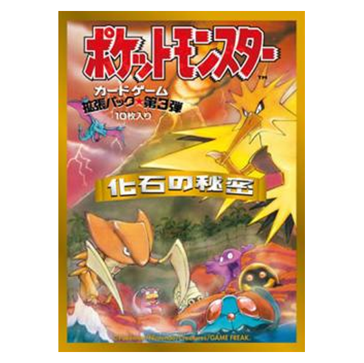 Mystery of the Fossils - Missing No.