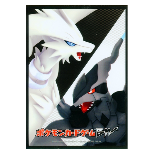 Reshiram & Zekrom - Missing No.