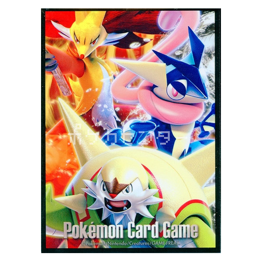 Premiers Partenaires de Kalos [Evolutions] - Missing No.