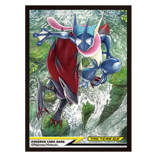 Amphinobi & Zoroark Tag Team - Missing No.