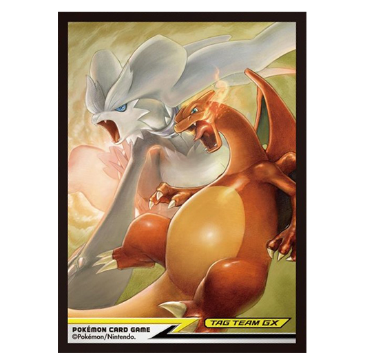 Reshiram & Dracaufeu Tag Team - Missing No.