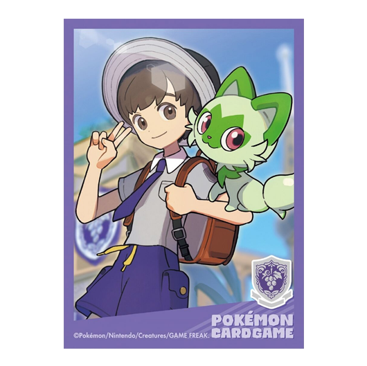 Pokémon Trainers: Florian & Poussacha