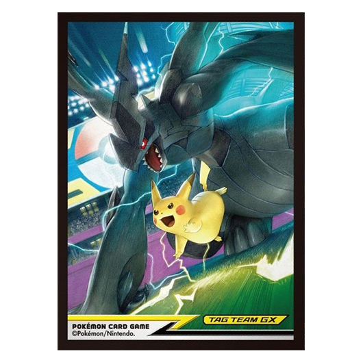 Pikachu & Zekrom Tag Team