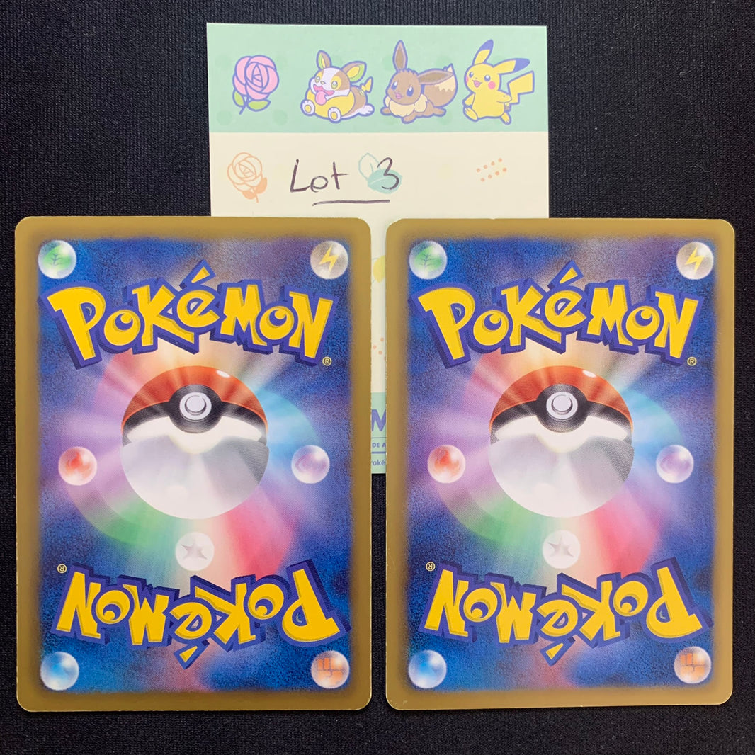 [Lot 3] Evoli & Aquali ed1 - BW4 Dark Rush & BW8 Spiral Force - Missing No.