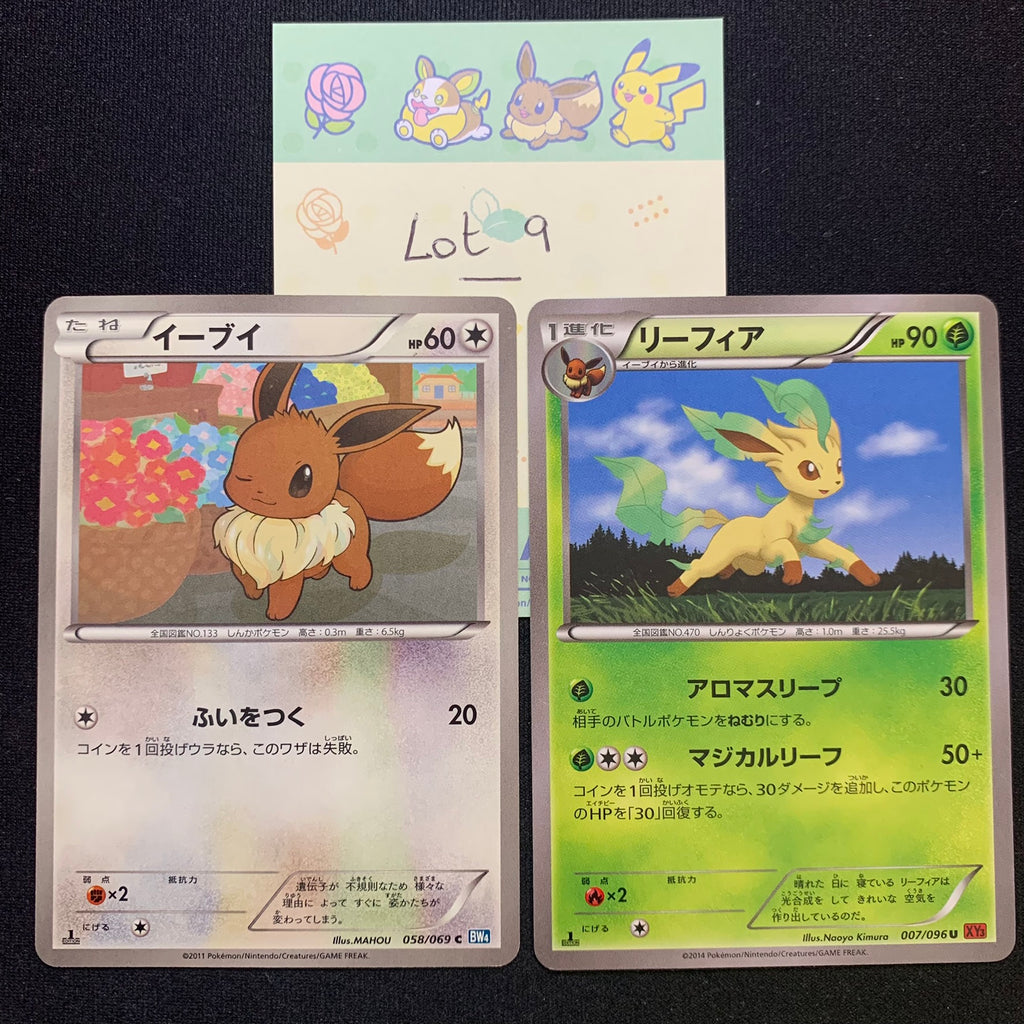 [Lot 9] Evoli & Phyllali ed1 - BW4 Dark Rush & XY3 Rising Fist