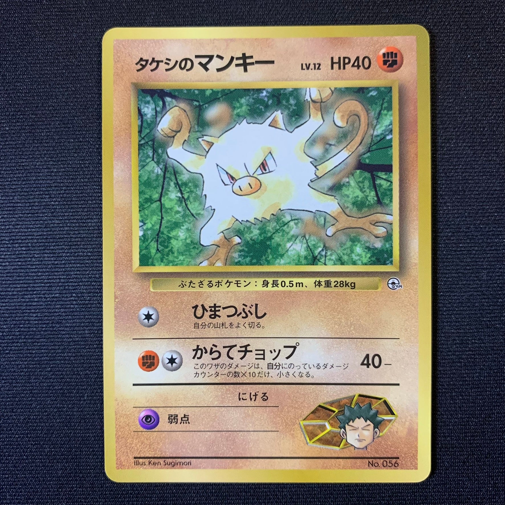 Férosinge de Pierre - Promo Glossy CoroCoro - Missing No.