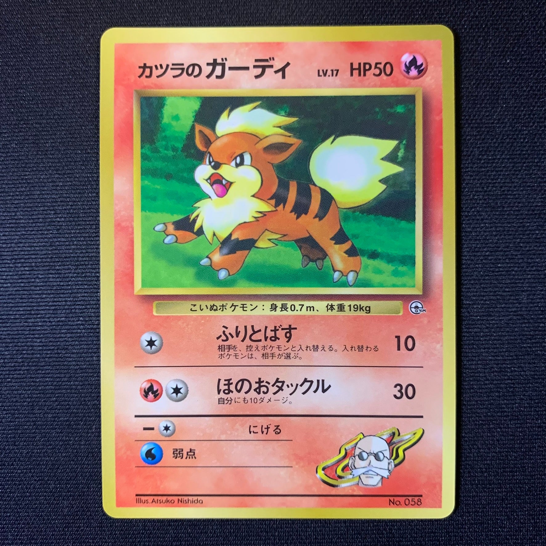 Caninos d'Auguste - Promo Glossy CoroCoro - Missing No.
