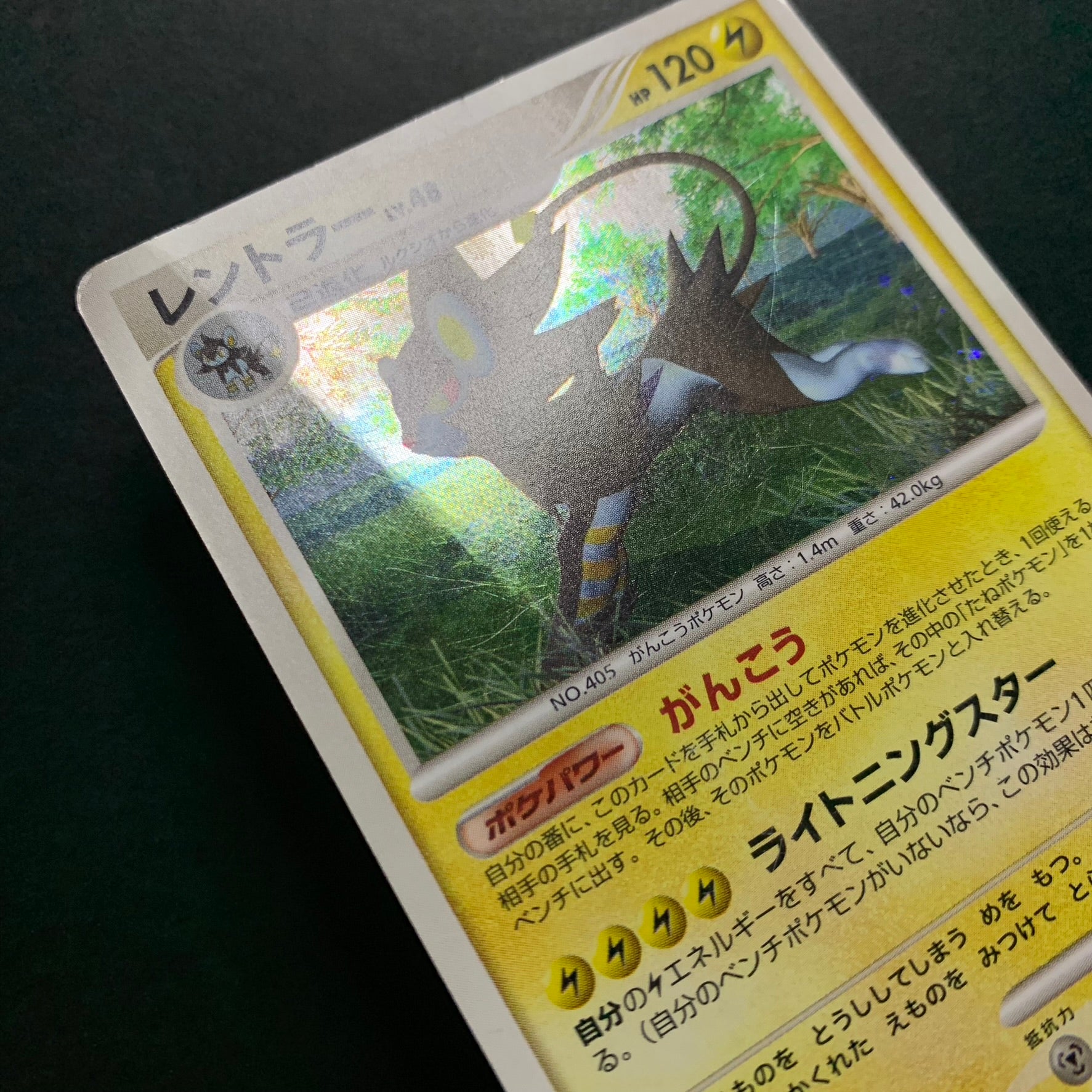 Luxray holographique - DP1 Space-Time Creation - Missing No.
