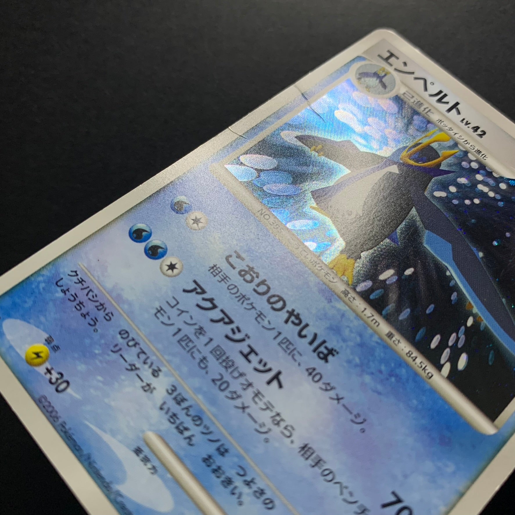 Pingoleon holographique ed1 - DP1 Space Time Creation - Missing No.
